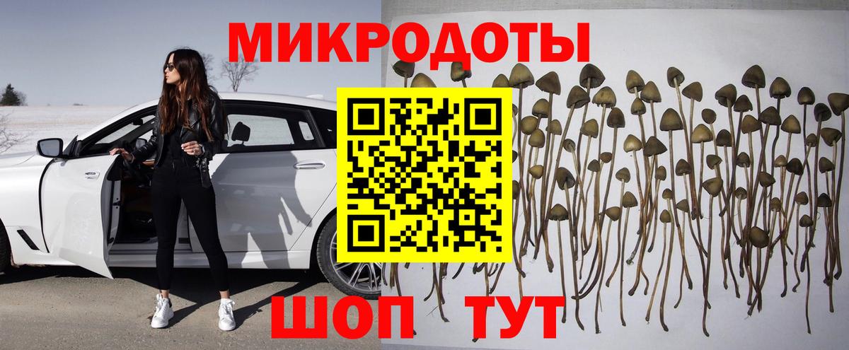 Рузаевка  Псилоцибиновые грибы прущие грибы  Вход с VPN 