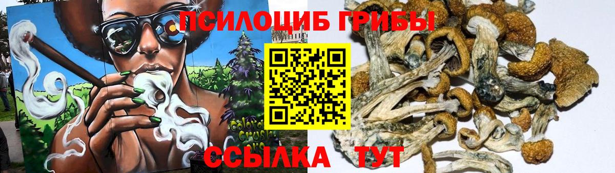 Галлюциногенные грибы Psilocybine cubensis Рузаевка