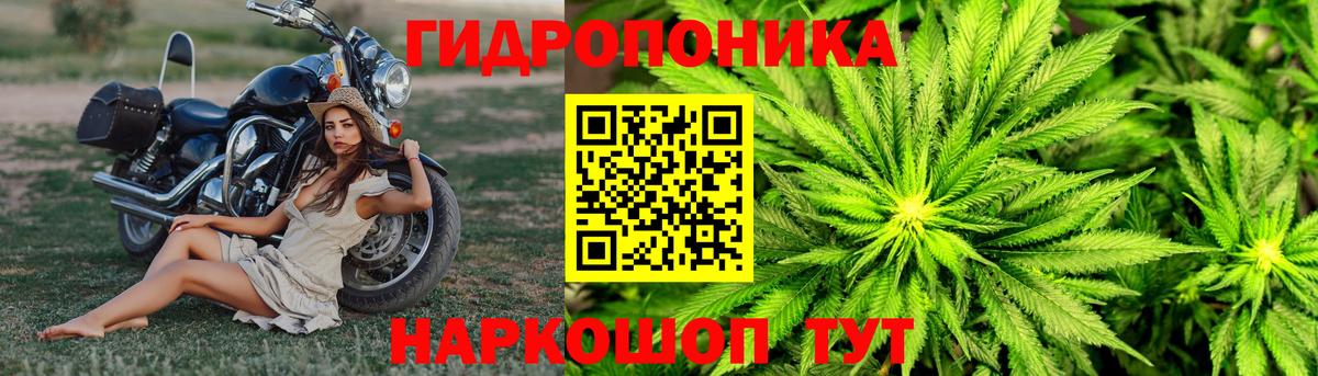 Бошки марихуана сатива  Бошки Шишки OG Kush  Вход с VPN  Бошки марихуана индика  Рузаевка 